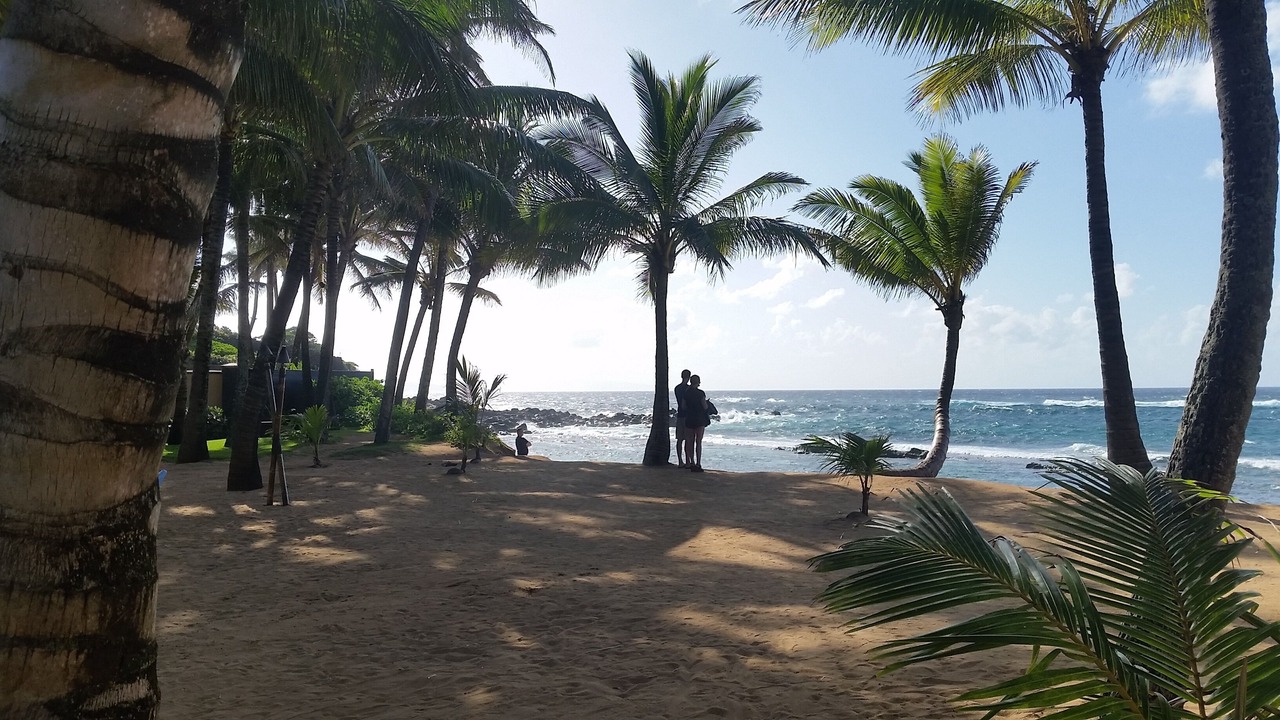 Photo of Others in Kihei