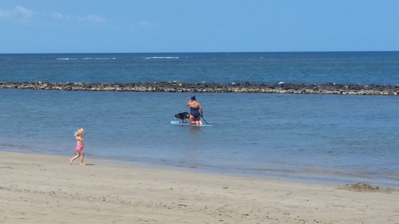 Photo of Others in Kihei