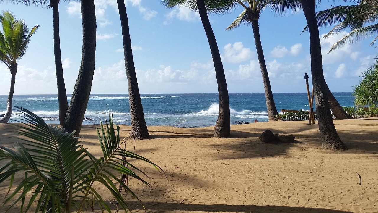 Photo of Others in Kihei