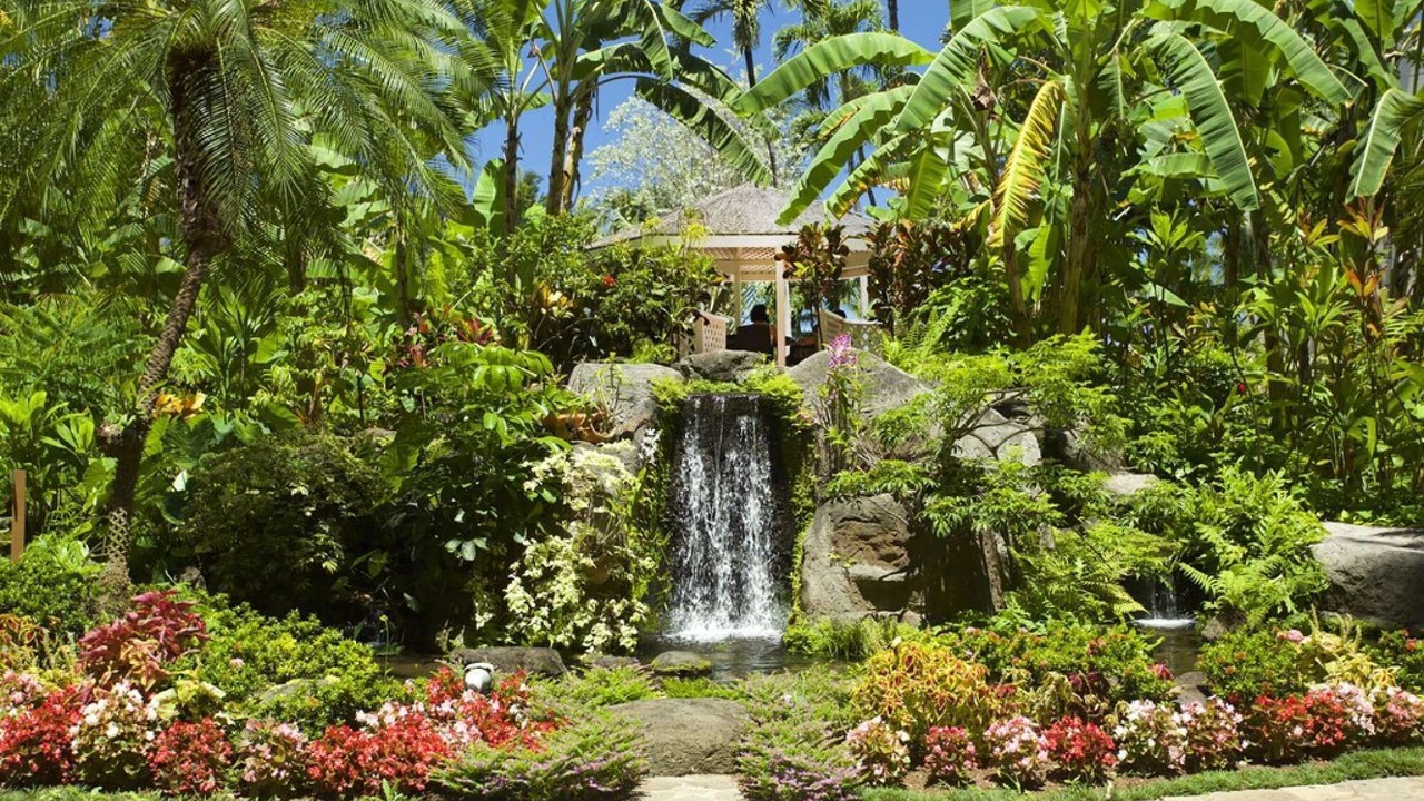 Photo of Others in Honokowai