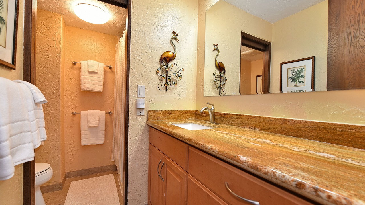 Photo of Bathroom in Honokowai