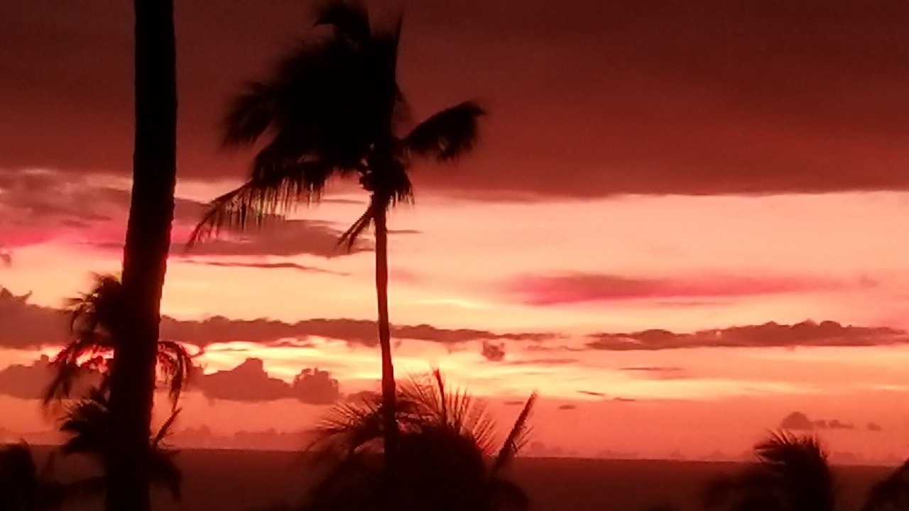 Photo of Others in Wailea