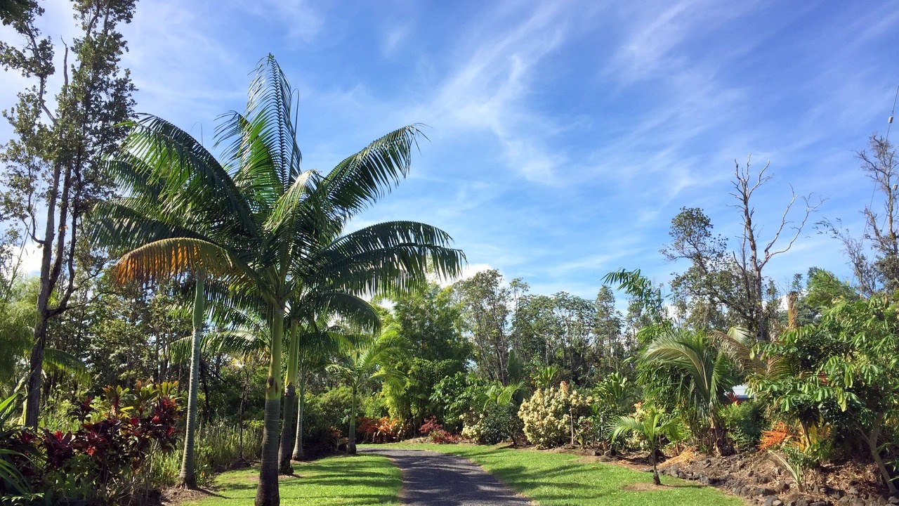 Photo of Others in Keaau
