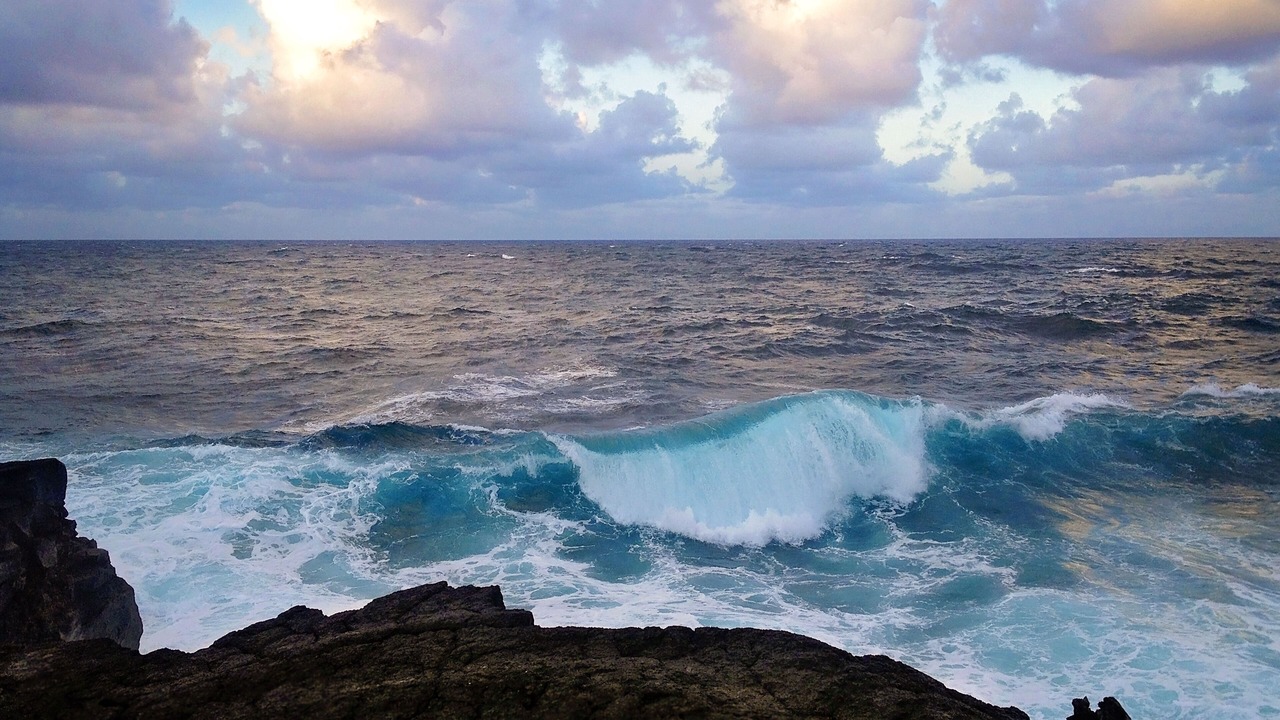 Photo of Others in Keaau