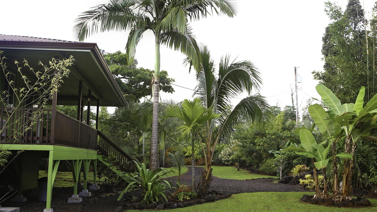 Photo of Outdoor in Keaau