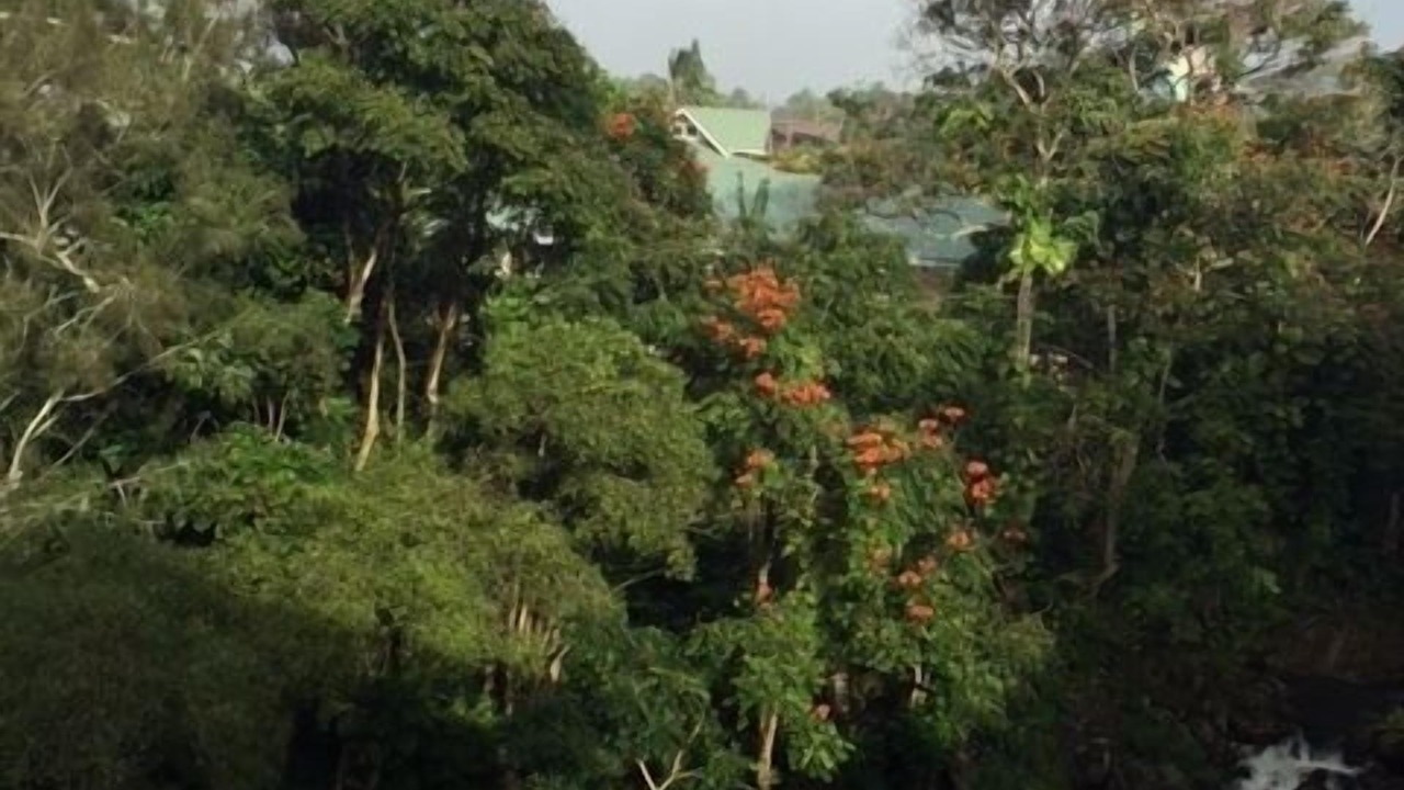 Photo of Others in Kilauea