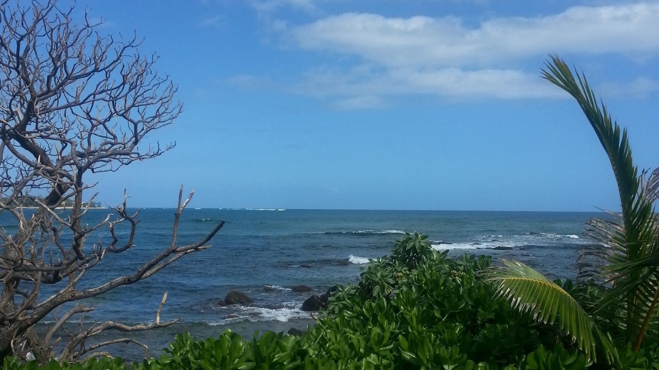 Photo of Others in Wailua