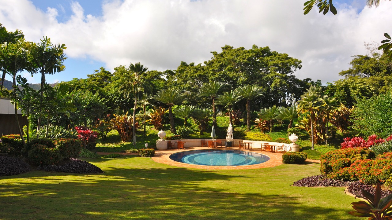Photo of Outdoor in Lihue
