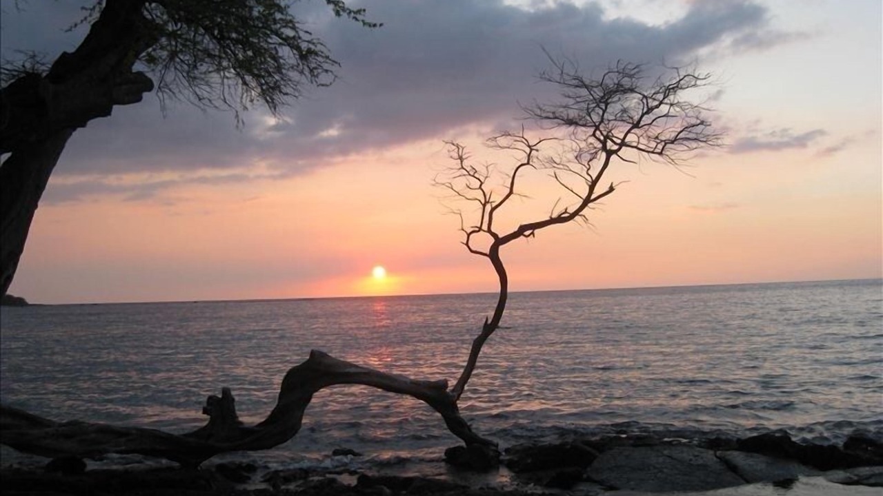 Photo of Others in Waikoloa