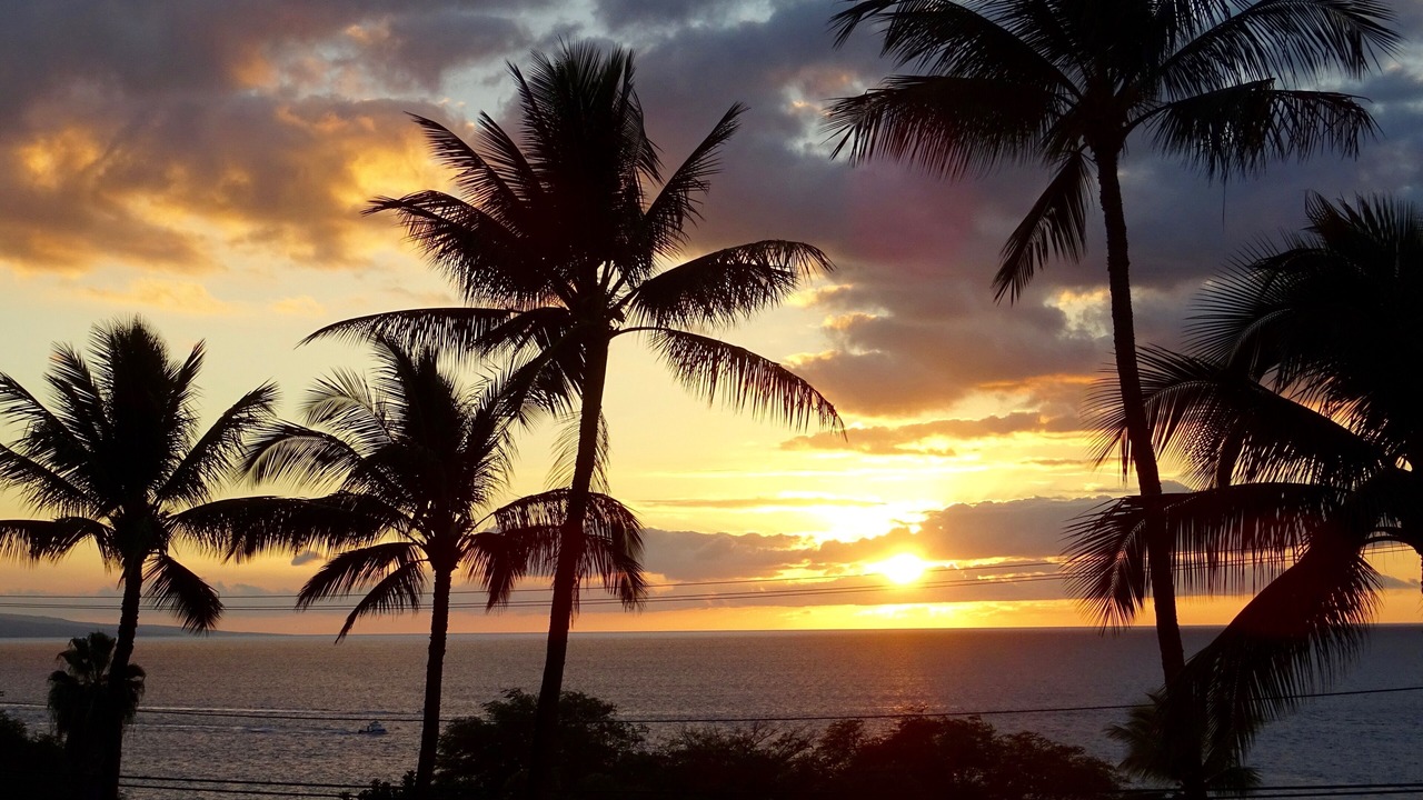 Photo of Others in Kihei