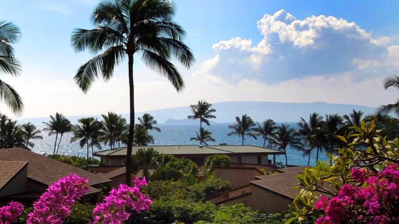 Photo of Others in Wailea