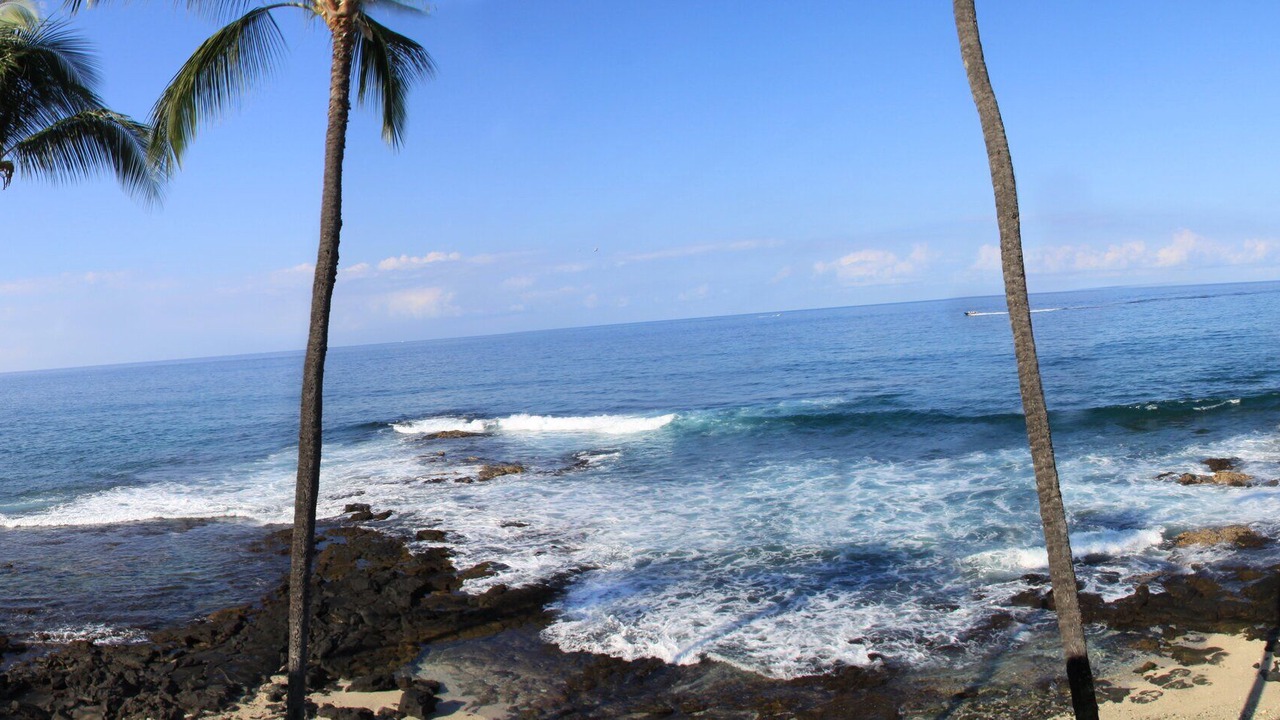 Photo of Others in Kailua-Kona