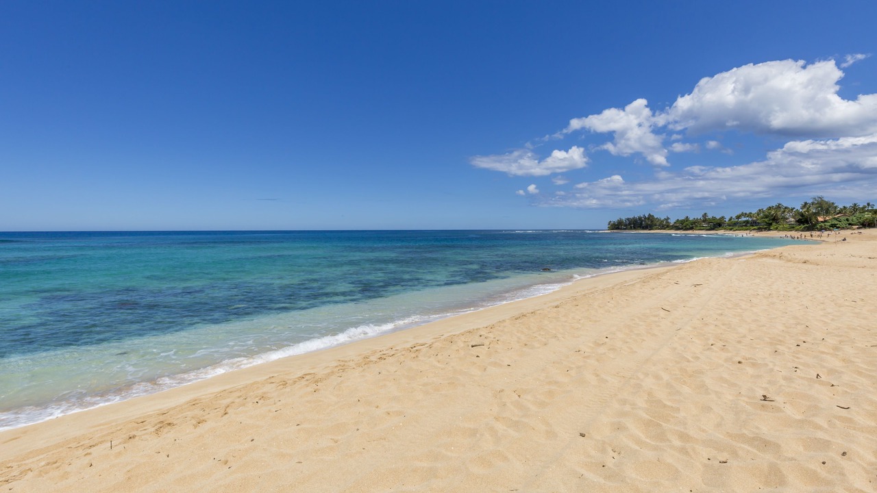 Photo of Others in Pupukea