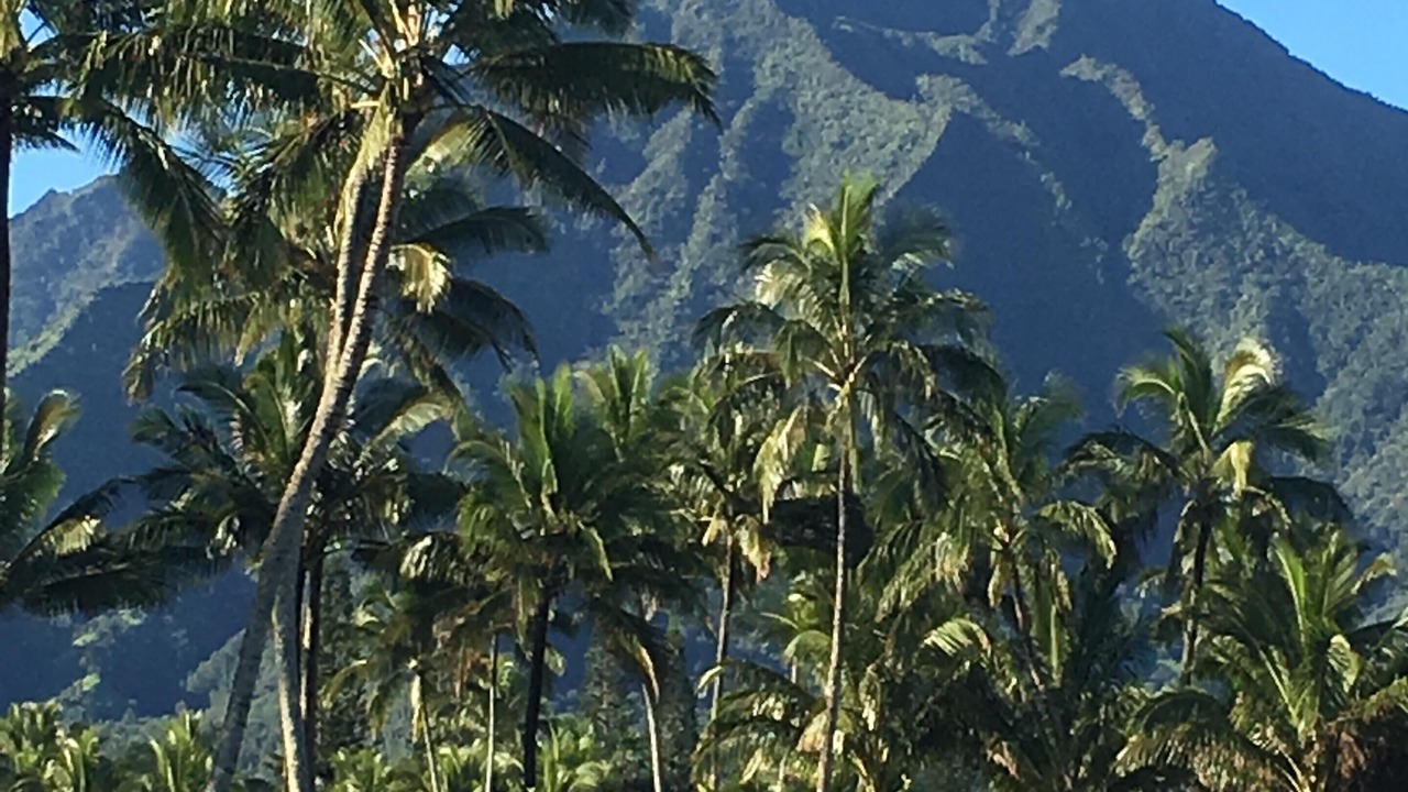 Photo of Others in Hanalei Palms