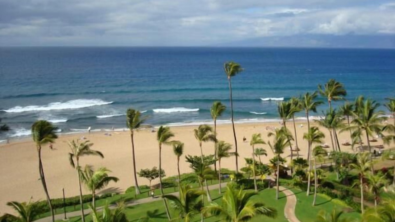 Photo of Others in Kaanapali