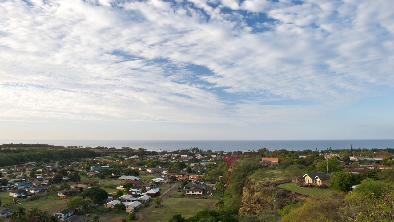 Photo of Others in Waimea
