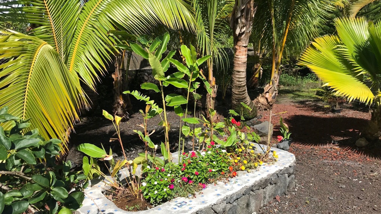 Photo of Outdoor in Keaau