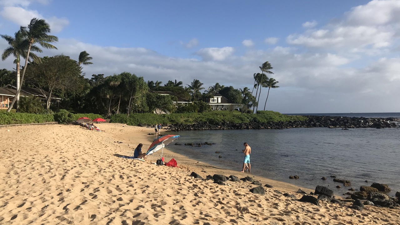 Photo of Others in Koloa