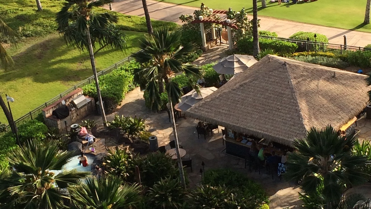 Photo of Others in Ko Olina