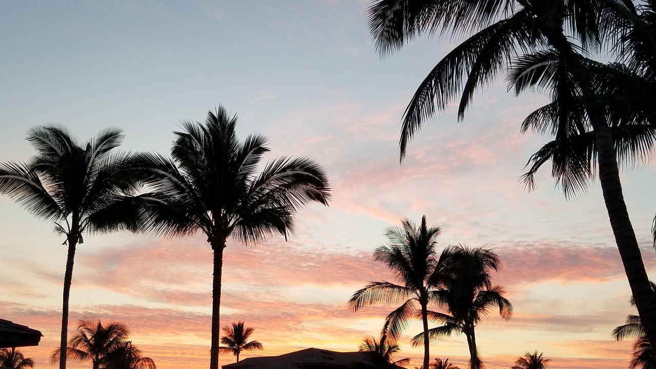 Photo of Others in Waikoloa