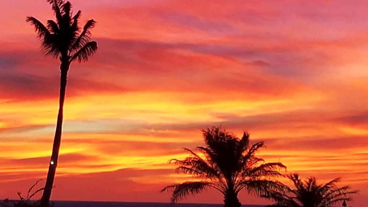 Photo of Others in Waikoloa