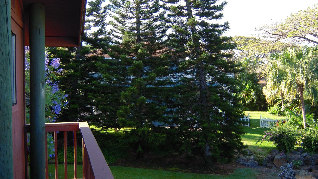 Photo of Others in Wailea