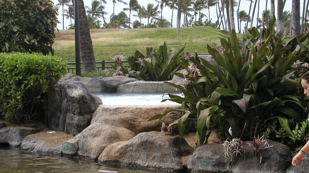 Photo of Others in Ko Olina