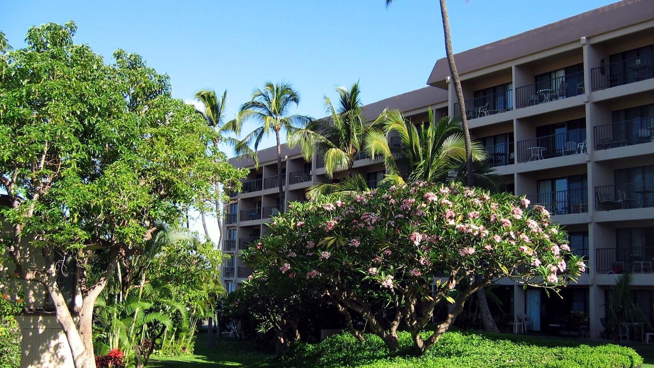 Photo of Outdoor in Kihei