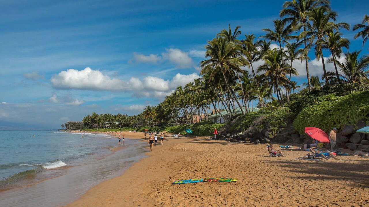 Photo of Others in Wailea