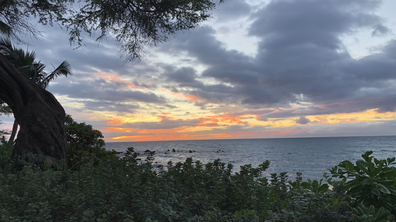 Photo of Others in Wailea