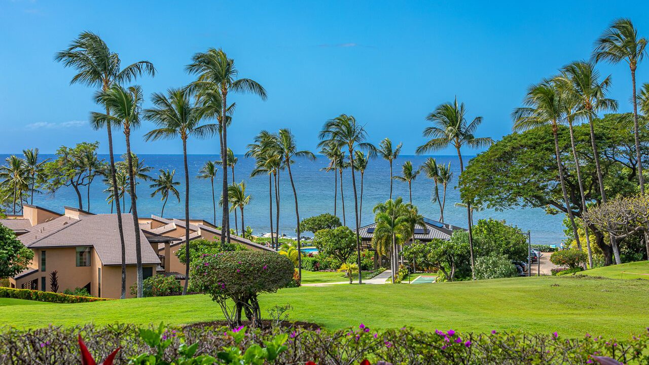 Photo of Outdoor in Wailea