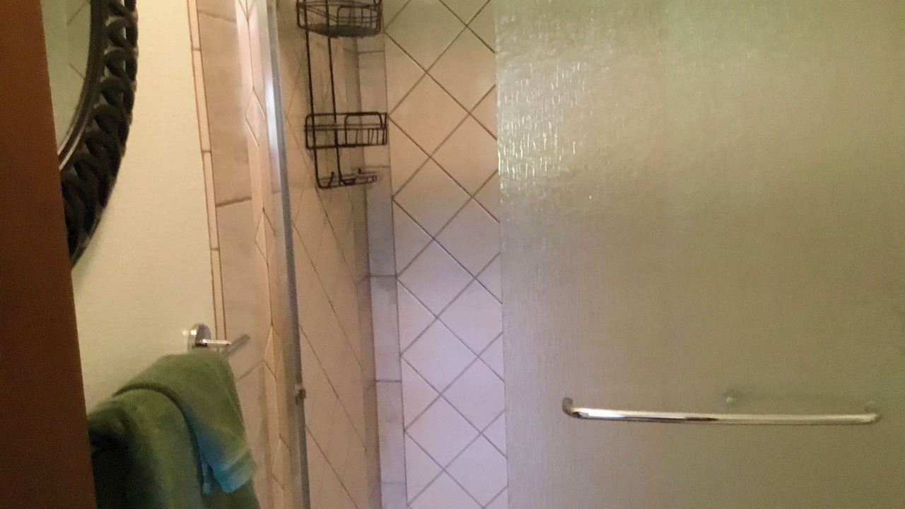 Photo of Bathroom in Kapoho