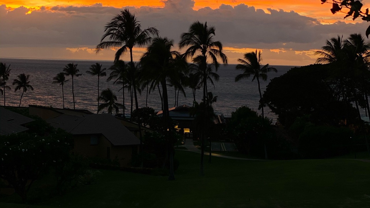 Photo of Outdoor in Wailea