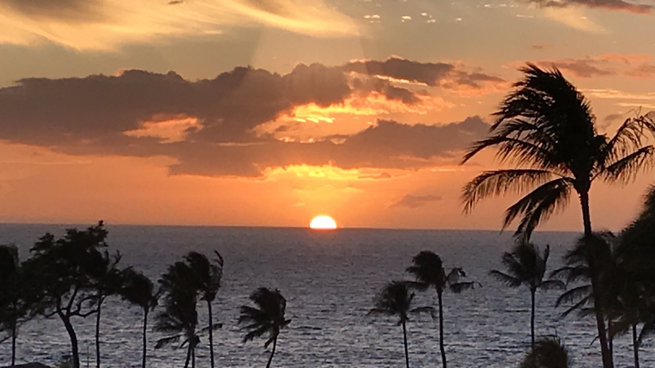 Photo of Others in Wailea