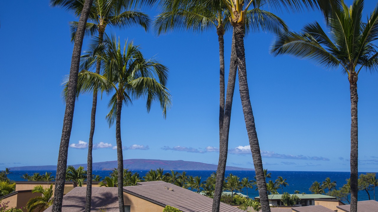 Photo of Others in Wailea