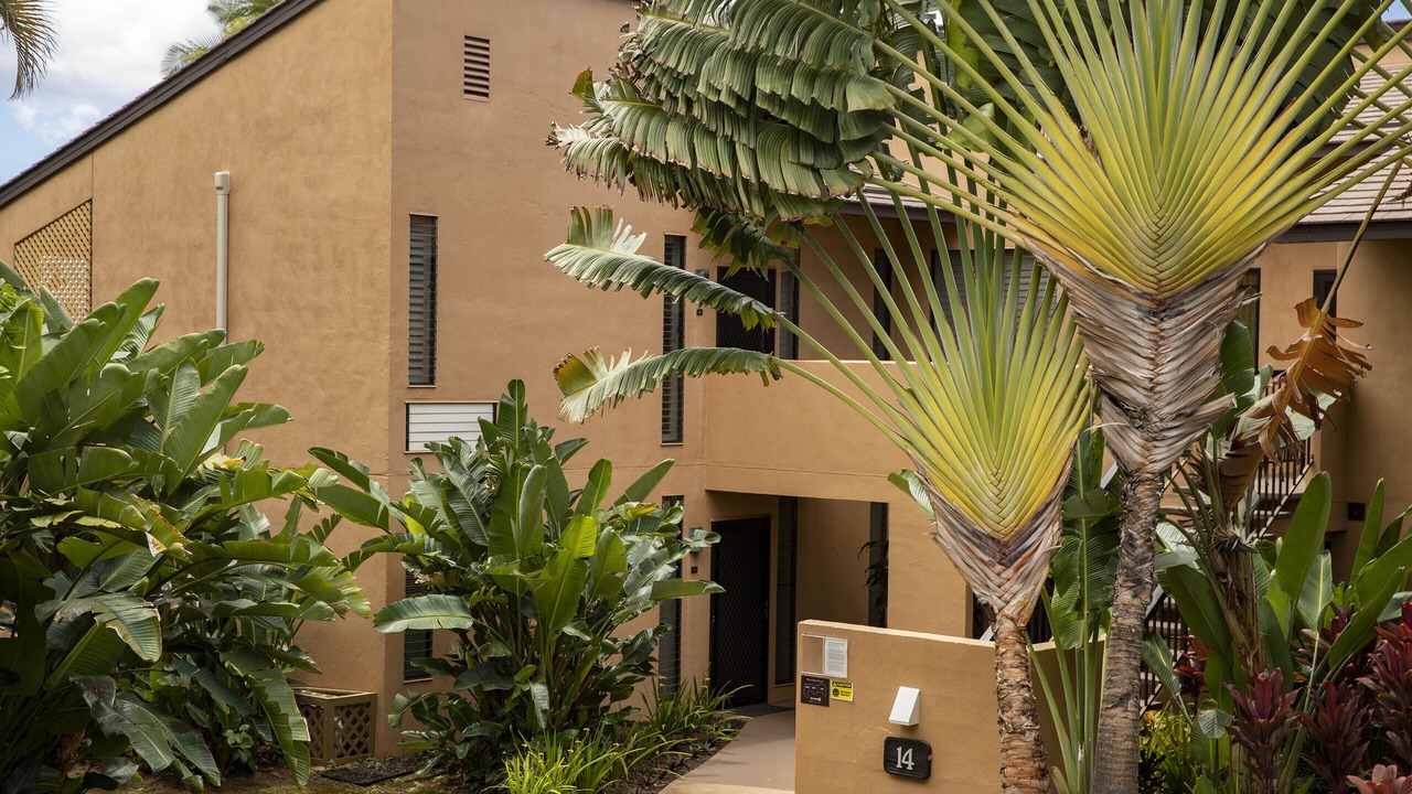 Photo of Outdoor in Wailea