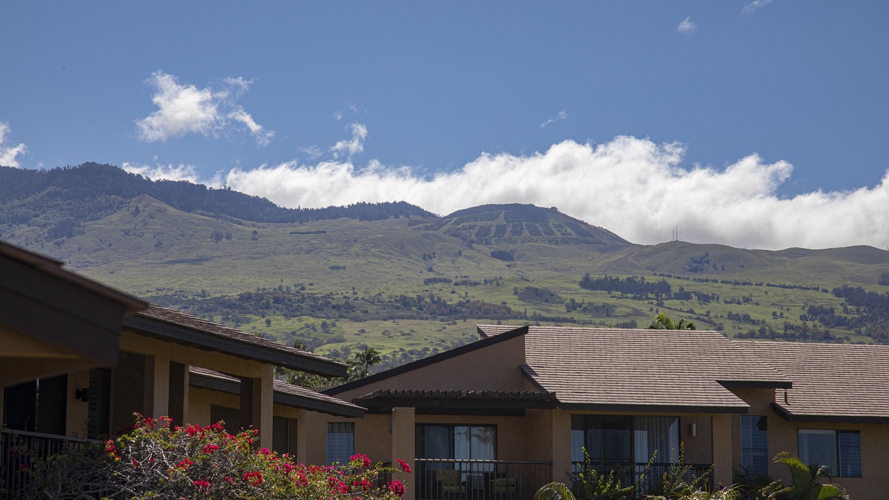 Photo of Outdoor in Wailea
