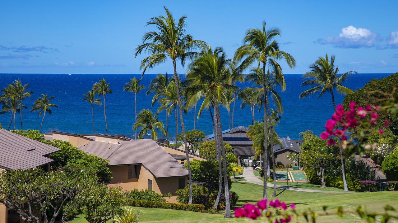 Photo of Outdoor in Wailea