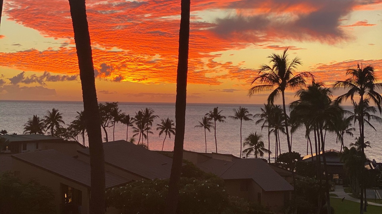Photo of Outdoor in Wailea