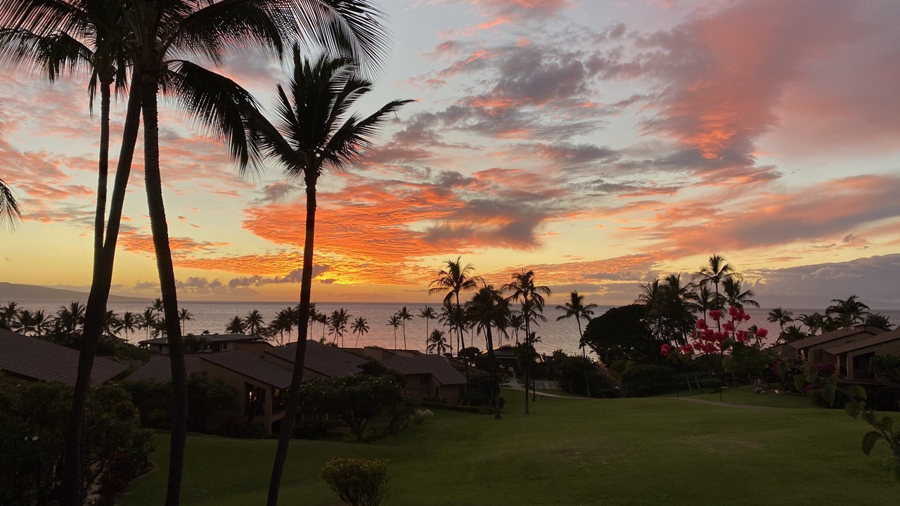 Photo of Outdoor in Wailea