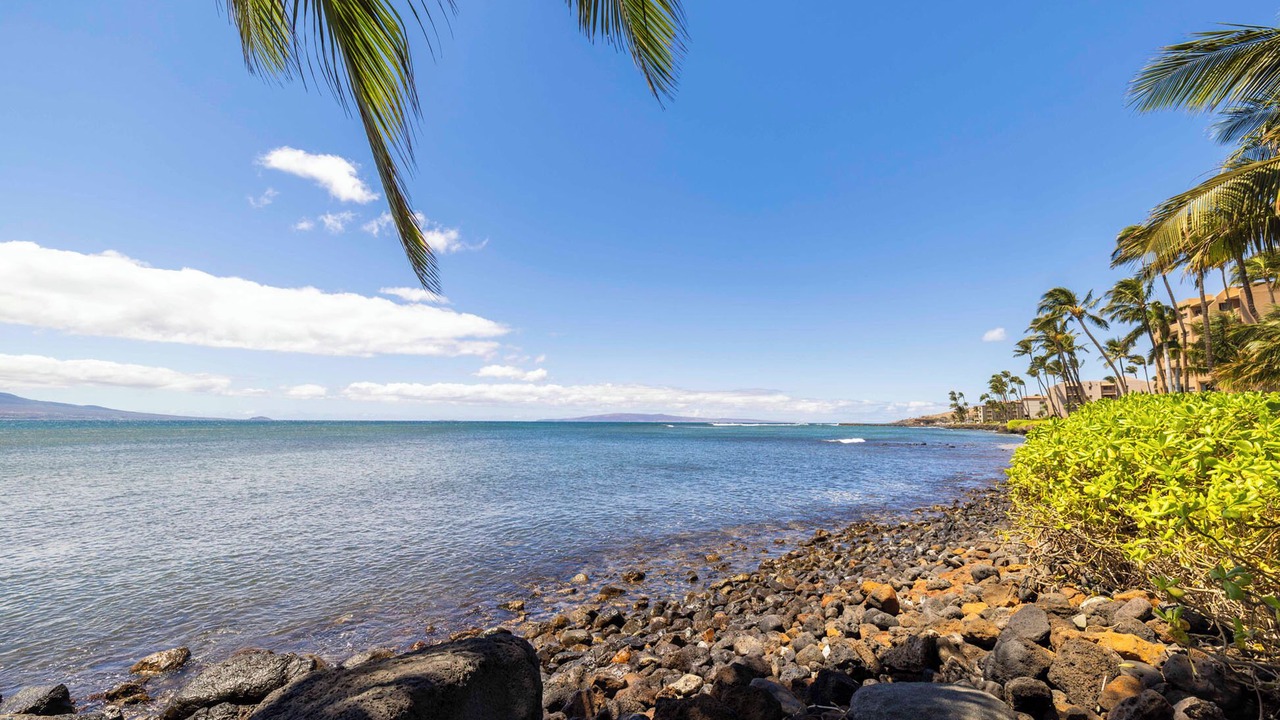 Photo of Others in Maalaea
