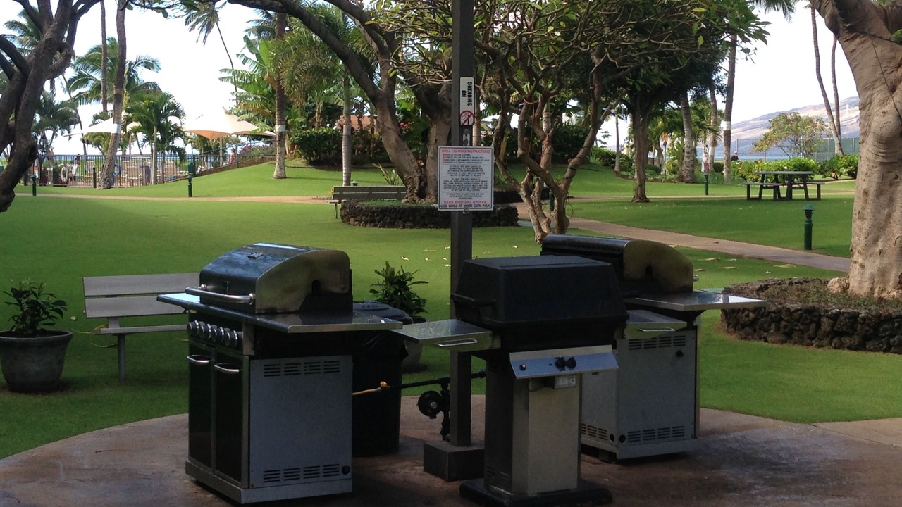 Photo of Outdoor in Kihei
