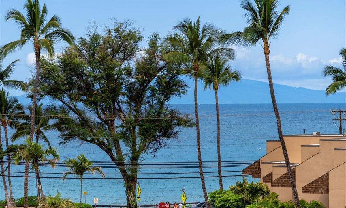 Photo of Others in Kihei
