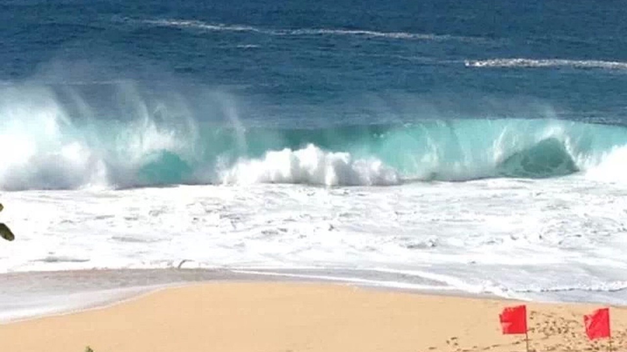 Photo of Others in Pupukea