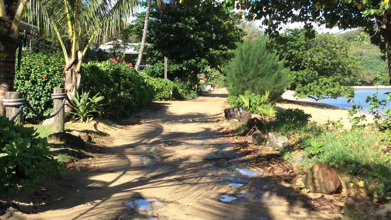 Photo of Outdoor in Kilauea