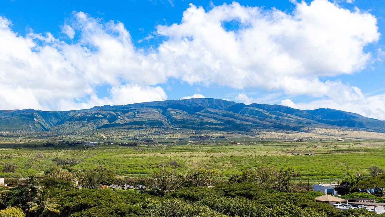 Photo of Others in Honokowai
