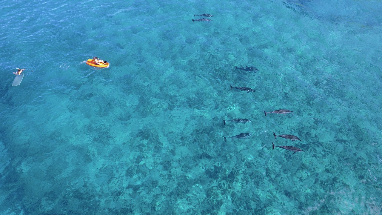 Photo of Others in Makaha