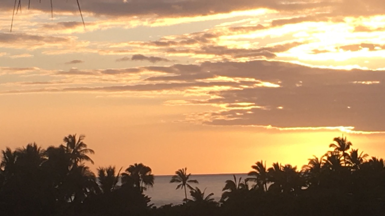 Photo of Others in Makaha