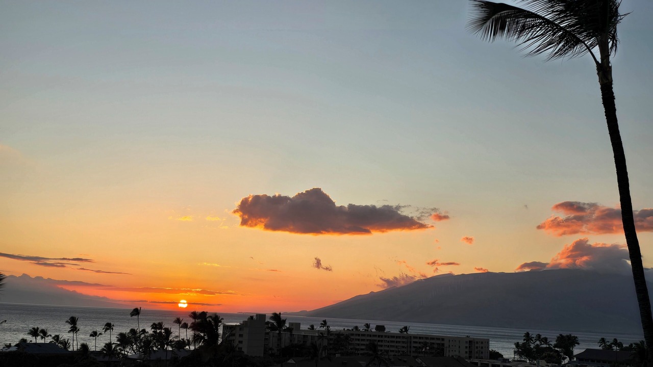 Photo of Others in Kihei