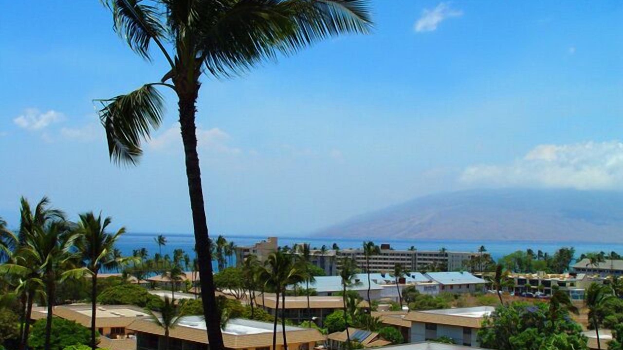 Photo of Others in Kihei